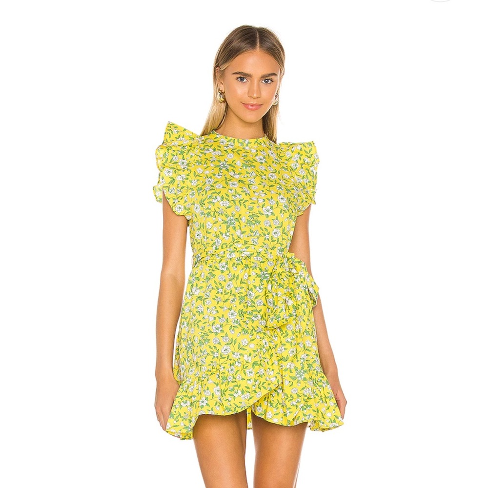 Banjanan Audrey Mini Dress in Audrey Sprig Aurora